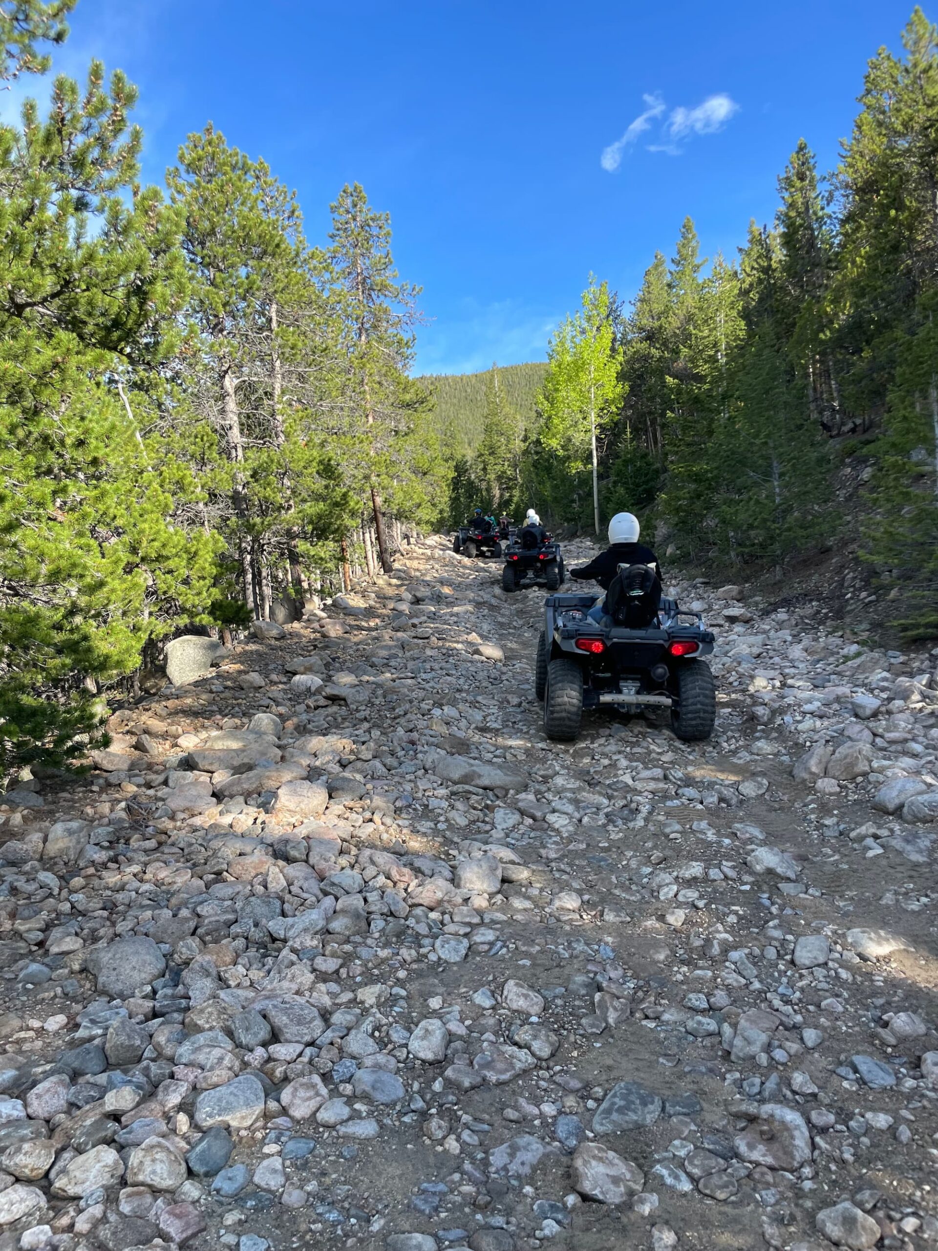 ATV's on a rocks road between trees