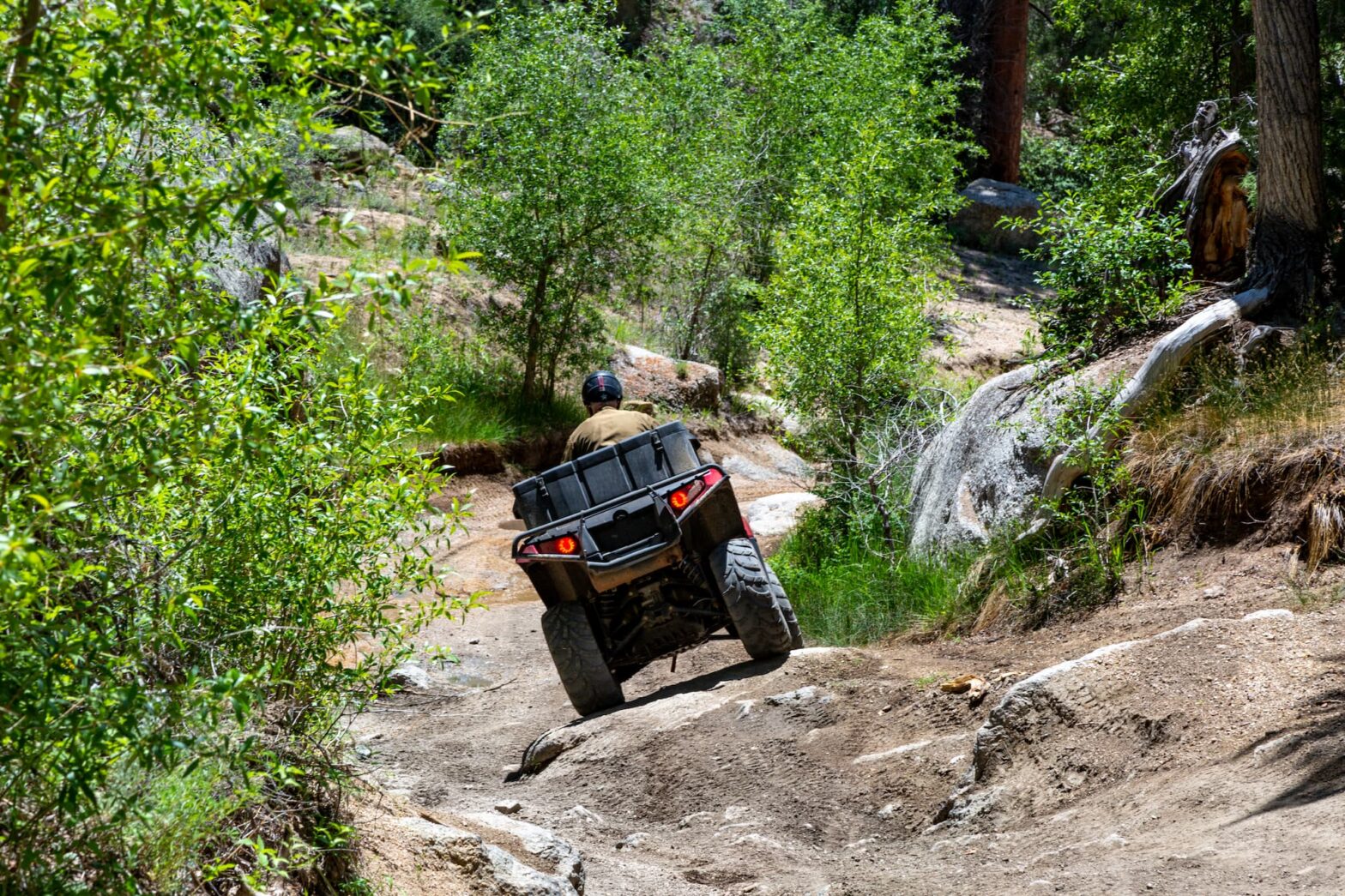 an ATV riding on a bumpy terrain in the forest
